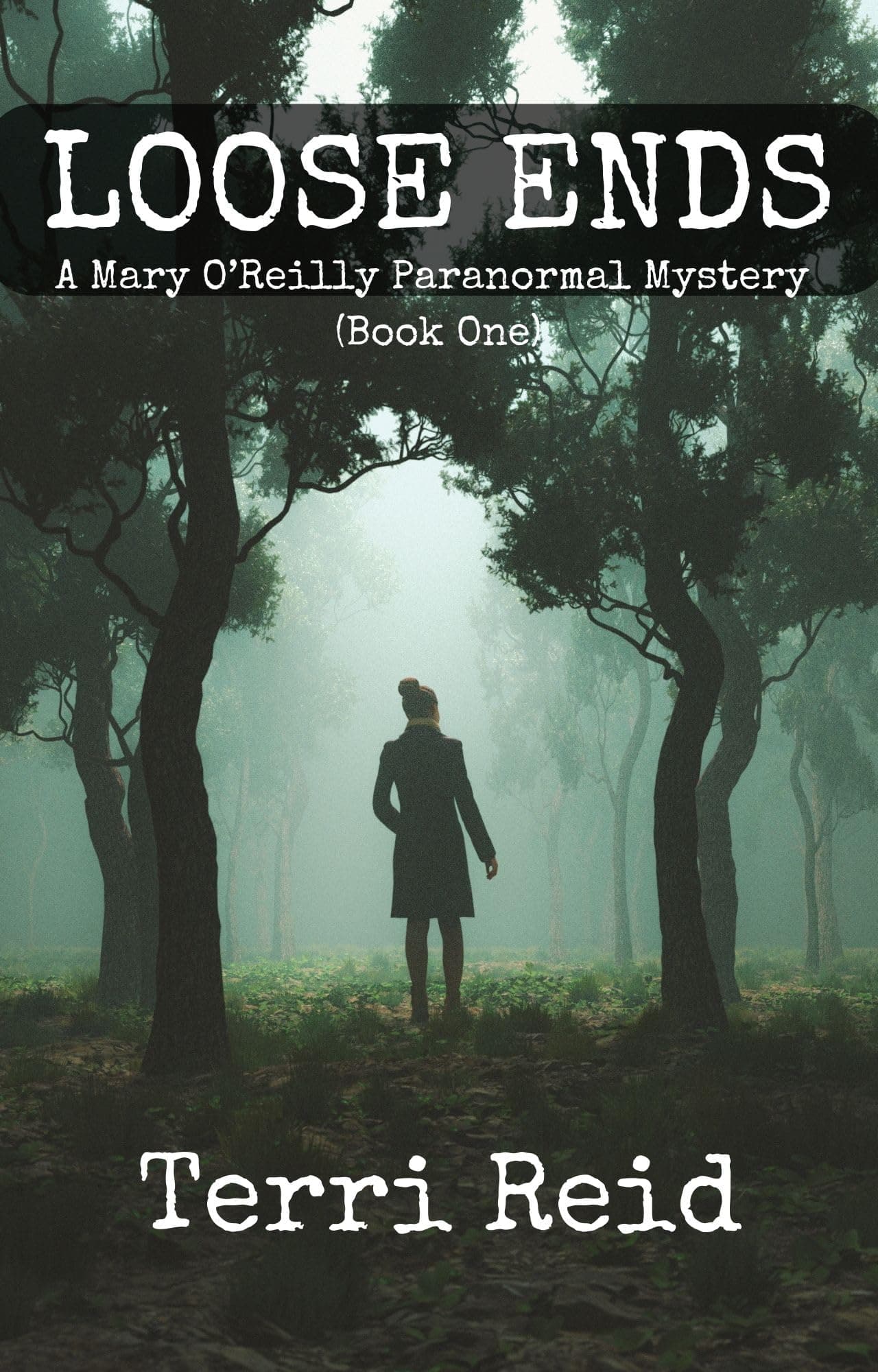 Loose Ends (Mary O'Reilly Series Book 1)