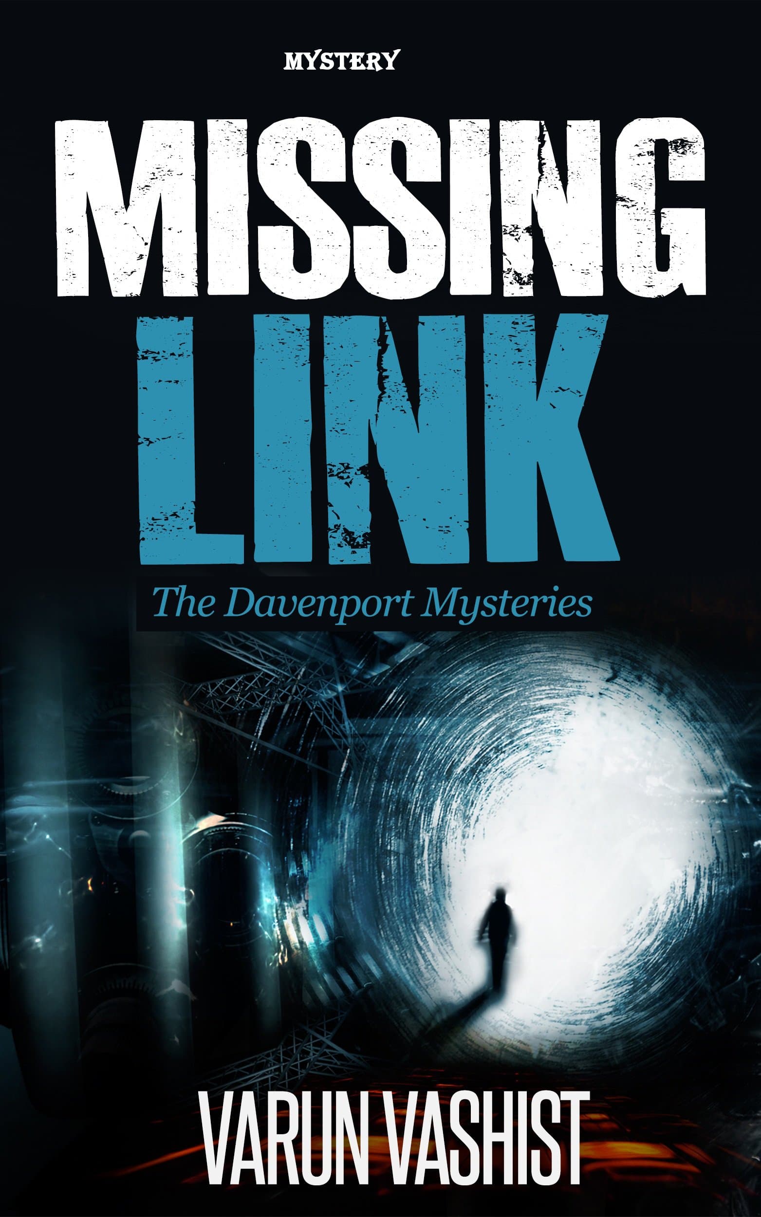 Missing Link (The Davenport Mysteries)